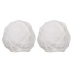 Bolsa con 2 filtros para aspiradora ASP-12V-P